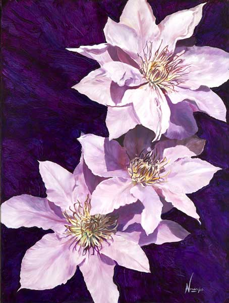 anita-nowinska-midnight-clematis - Giclee London